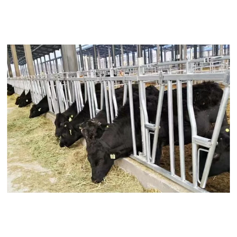 Reinforced Galvanized Cattle Headlock Fence (Reinforced) 3m 3-position Double Opening Cattle Headlock | Livestock Farm